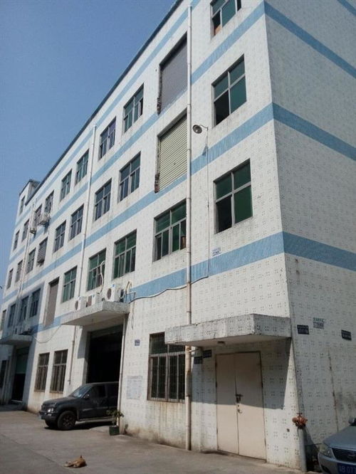 廣州市廠房結(jié)構(gòu)安全檢測公司哪家正規(guī)？工程設(shè)計(jì)需重視專業(yè)檢測