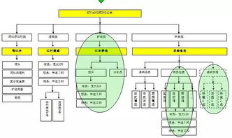 從養(yǎng)殖場到展示臺 中擂品牌策劃賦能江豐實業(yè)肉雞全產業(yè)鏈整合營銷